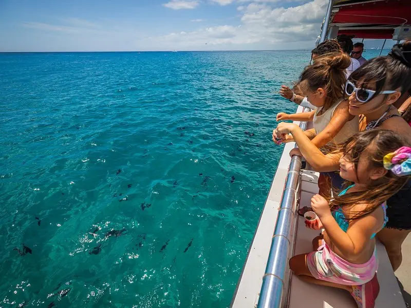 Waikiki Glass Bottom Boat Cruise on Oʻahu