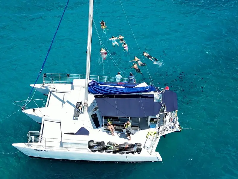 Related experience: Best Waikiki Snorkel Tour: Guaranteed Turtles at Turtle Canyon