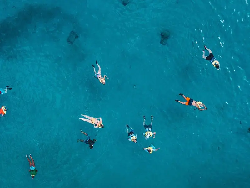 Waikiki: 2-hour Turtle Canyon Snorkeling Adventure on Oʻahu