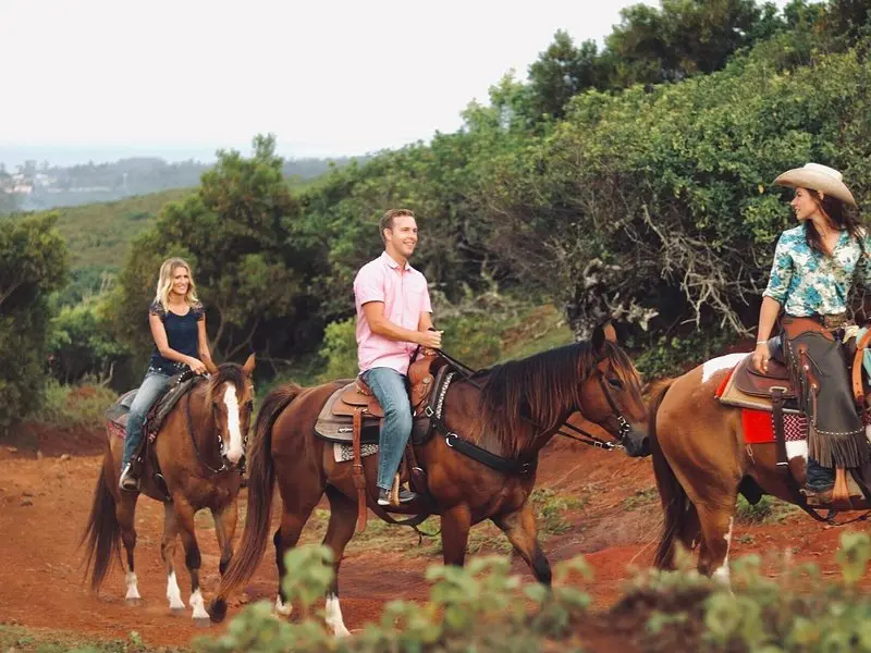 Related experience: Oahu Sunset Horseback Ride on the North Shore