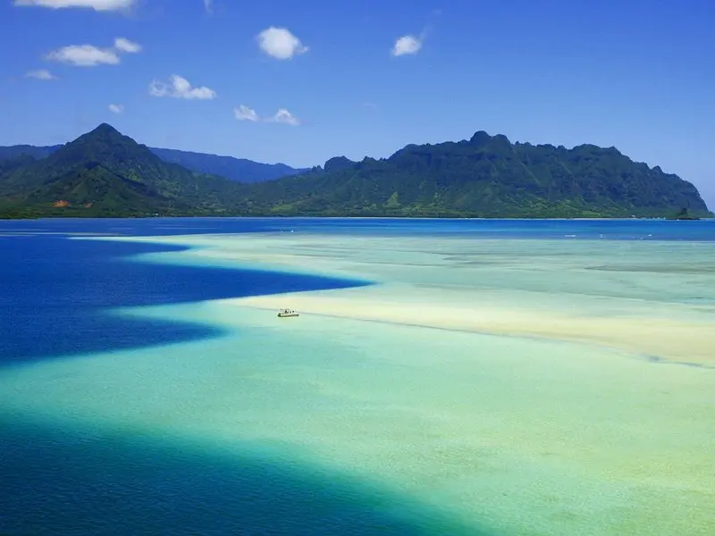Related experience: Kaneohe Sandbar Morning Snorkeling Tour