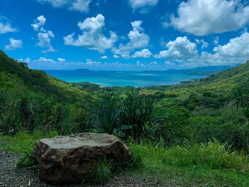 Related experience: Kualoa Ranch: Jungle Expedition Tour