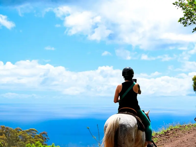 Afternoon Mountain Vista Horseback Trail Ride on Oahu on Oʻahu
