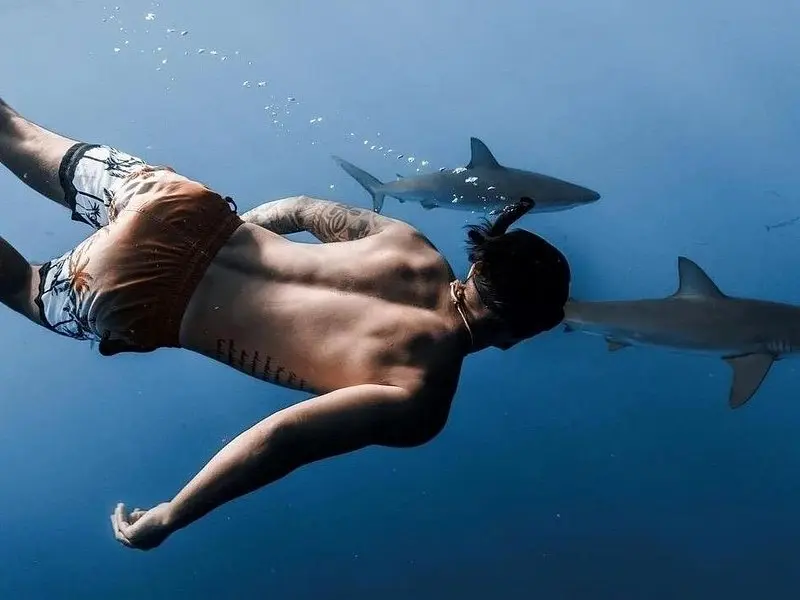 Related experience: Private Shark Dive, Oahu, Hawaii (6 Guest)
