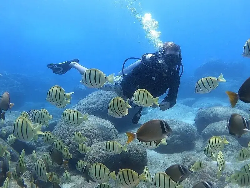 Beginner Scuba Diving Experience with Video Package in Honolulu on Oʻahu