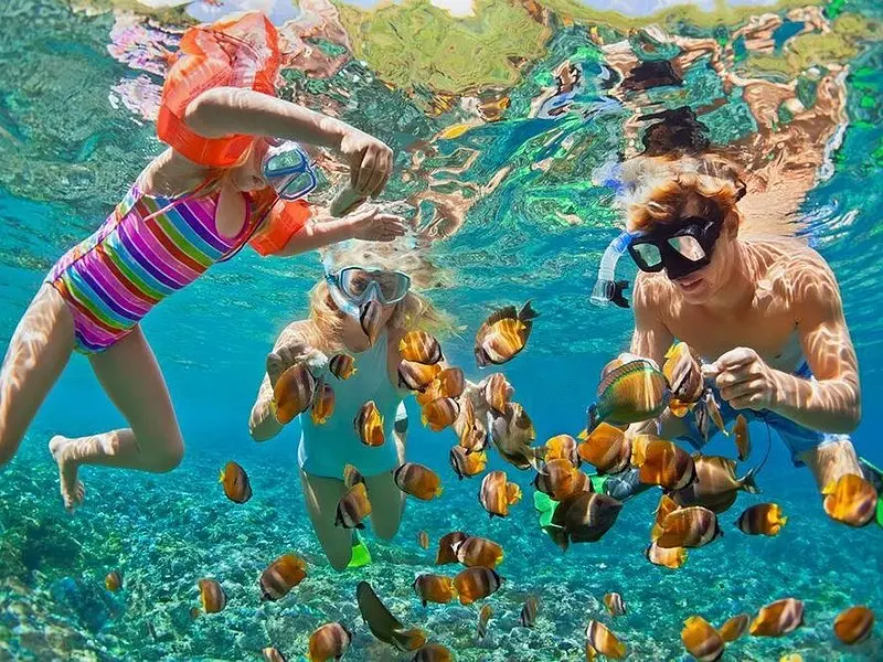 Related experience: Oahu Circle Island Snorkeling Tour: Dole, Pali Lookout & More