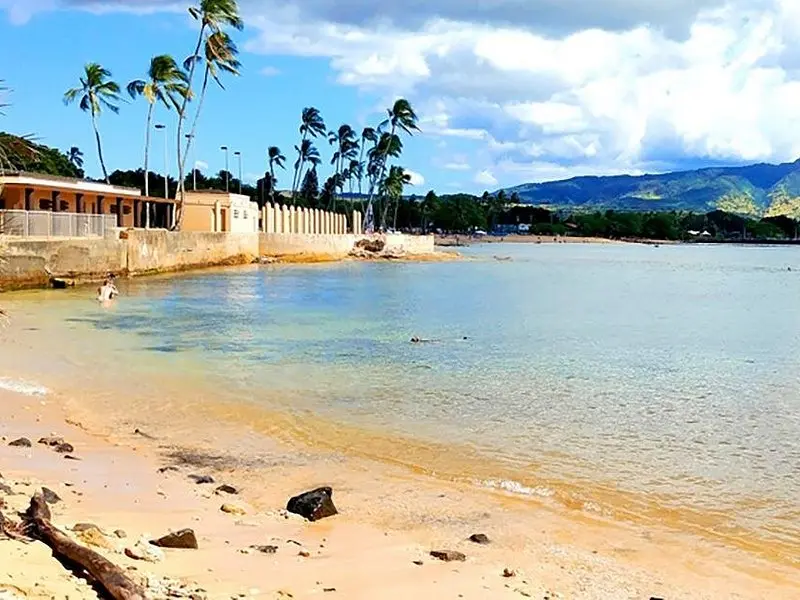 Oahu: All Day Circle Island Tour with Snorkeling on Oʻahu