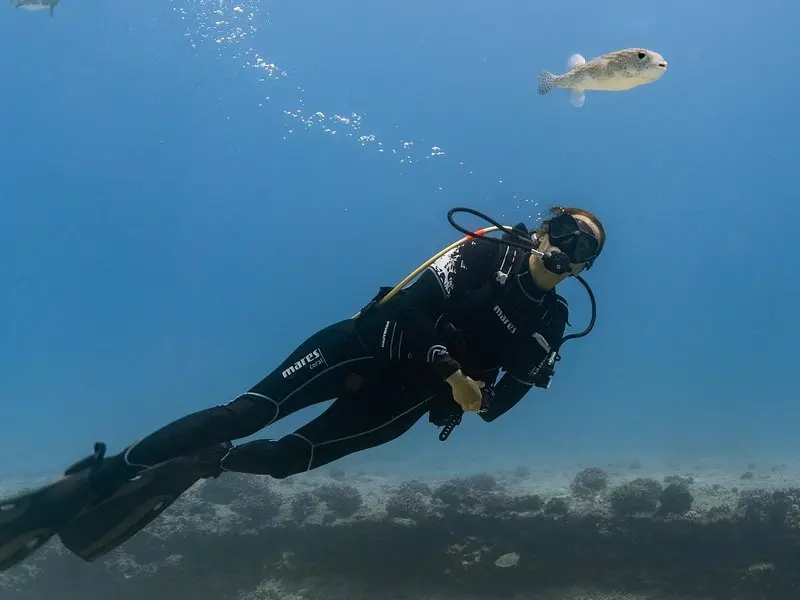 Voted Best First Time Diving Experience in Hawaii on Oʻahu
