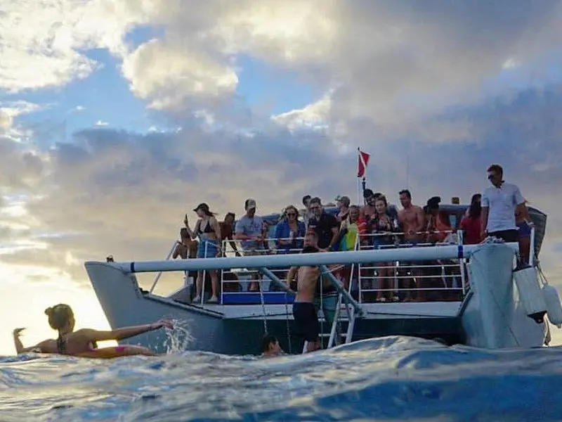 Paradise Waikiki Sunset Cruise + LIVE DJ + SWIMMING on Oʻahu