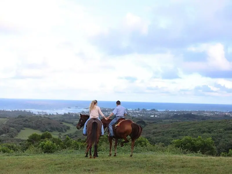 Related experience: Private Sunset Dinner Horseback Ride