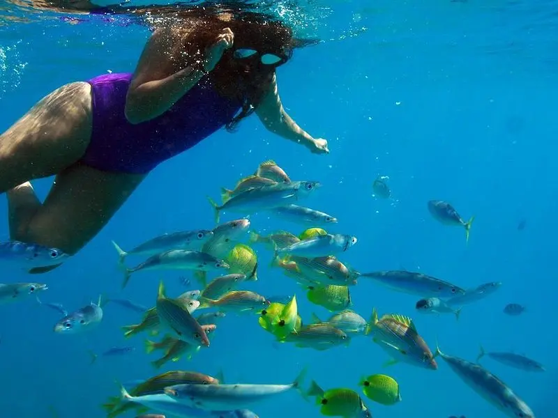 Ko Olina Catamaran Sail and Snorkel with Lunch on Oʻahu
