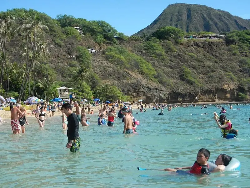 Related experience: Hanauma Bay Priority Access with Transportation