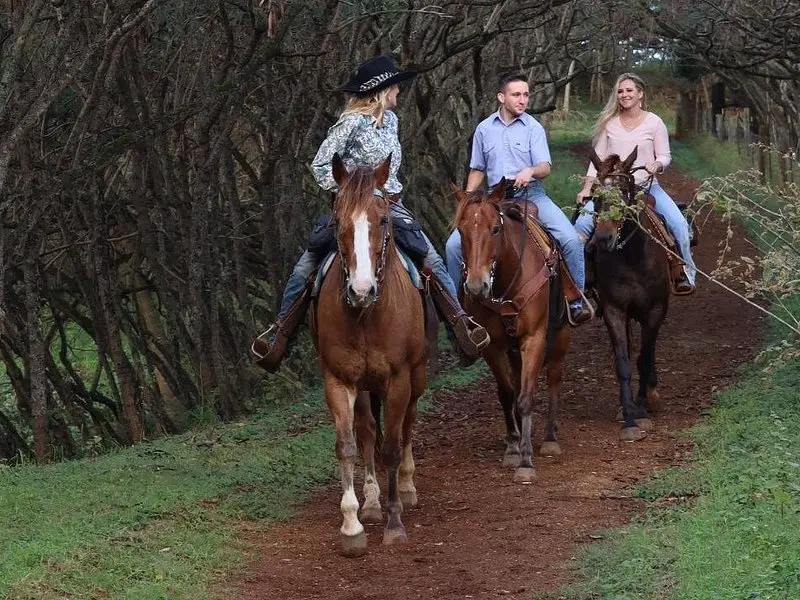 Related experience: Private Sweetheart Horseback Ride