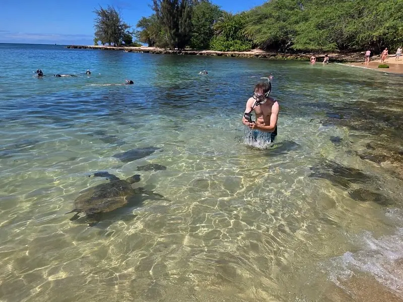 Related experience: Oahu Small-Group Circle Island Tour with Turtle Snorkeling