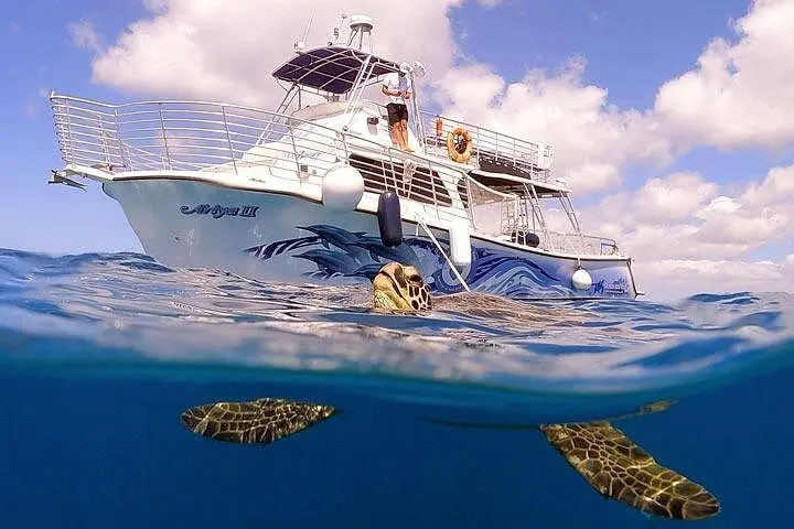 Waikiki Turtle Snorkeling Tour with Complimentary Trolley Ride on Oʻahu